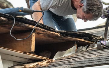 common causes of Roster fascia damage