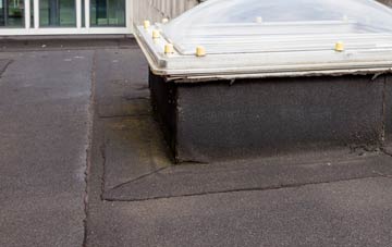 disadvantages of Roster flat roofs