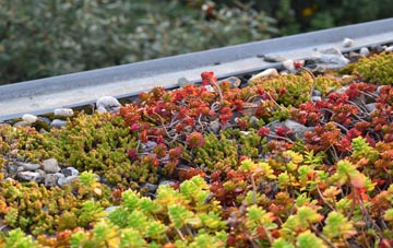 the cost of Roster green roof installation