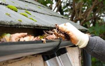 gutter cleaning Roster, Highland