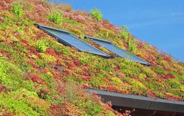 Roster living roof systems