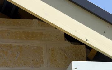 soffit repair Roster