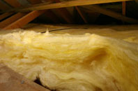 Roster pitch roof insulation